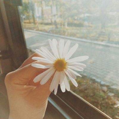 乐发彩票app下载