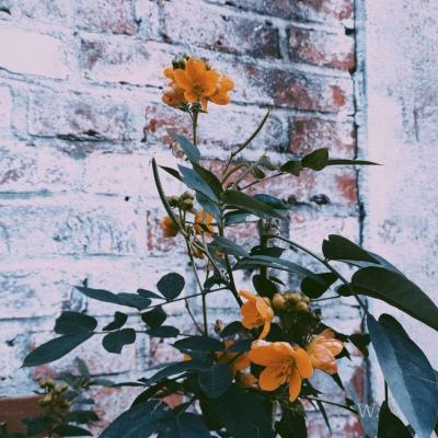 49图库一资料中心手机app下载